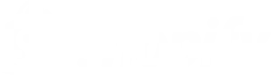 shopify-logo-300x90